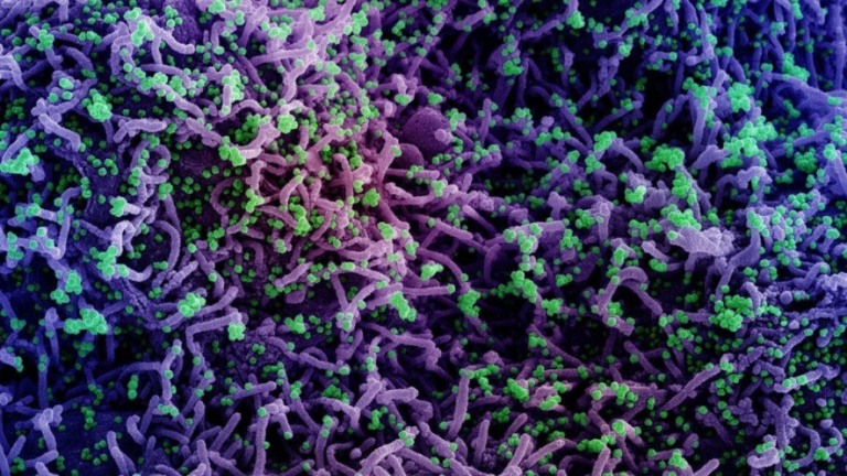 Variante Ômicron: Momento é de 'apertar os cintos', diz virologista