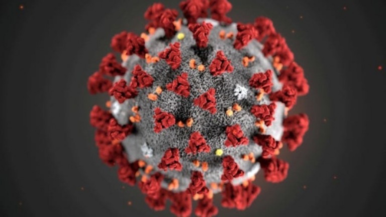 Covid-19: cientistas investigam se ômicron surgiu de roedores