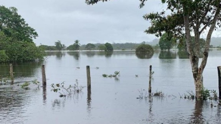 Bahia teve o maior acúmulo de chuvas no mês de dezembro em 32 anos