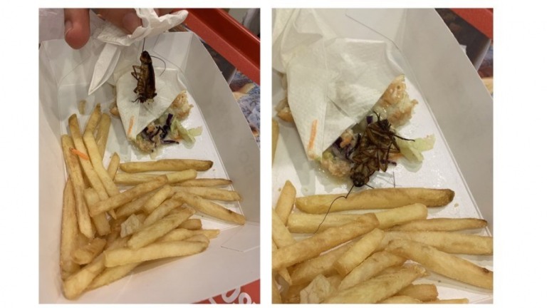 Homem encontra barata inteira dentro de lanche do KFC em Porto Alegre