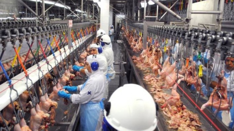 China deixa de comprar frango de dois frigoríficos brasileiros