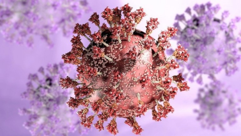 Estudo diz que subvariante da Ômicron é mais infecciosa que 'original'