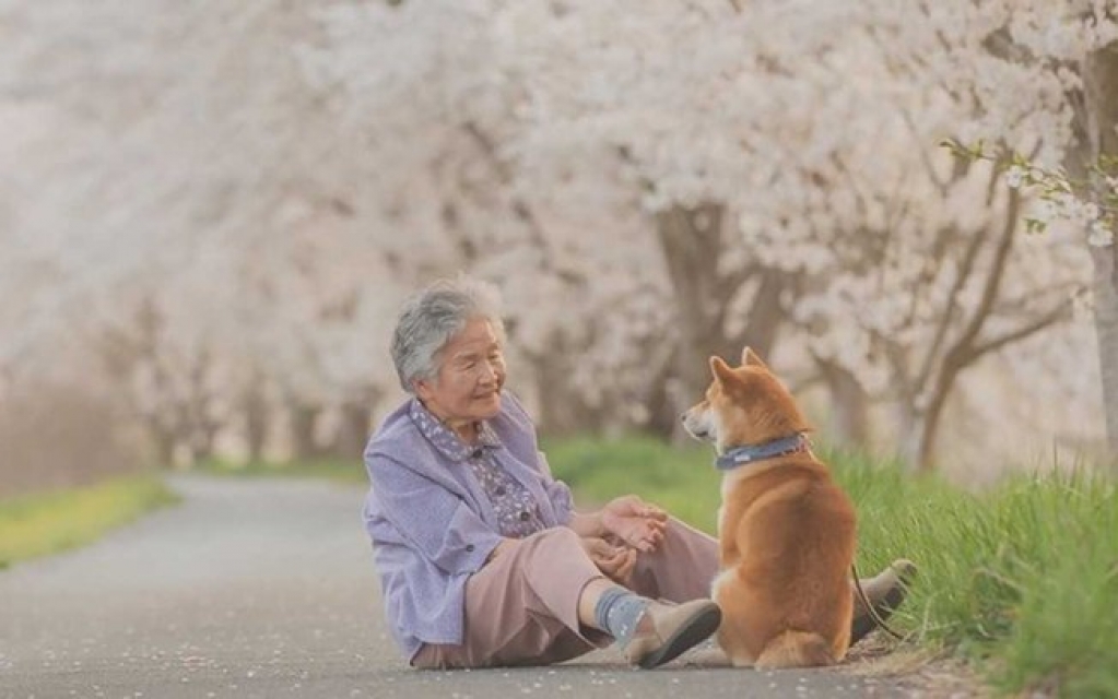 Fotógrafo retrata relação de sua avó com cachorro em fotos incríveis