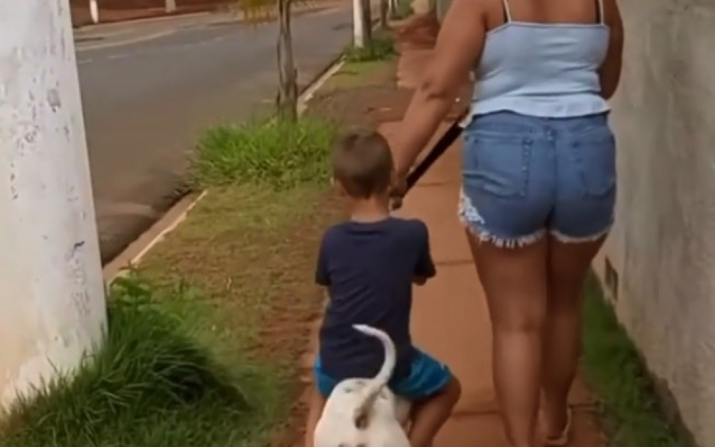 Luisa Mell denuncia brincadeira de criança com cachorro; veja vídeo