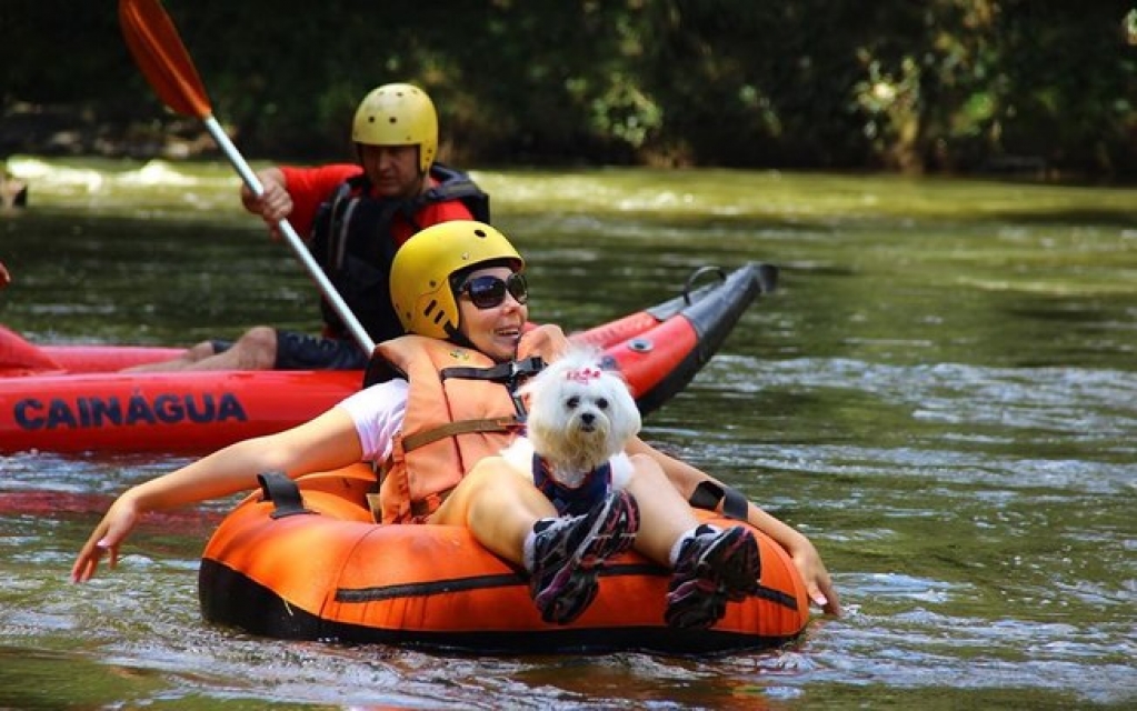 Rafting com cães é uma opção de passeio para quem quer inovar