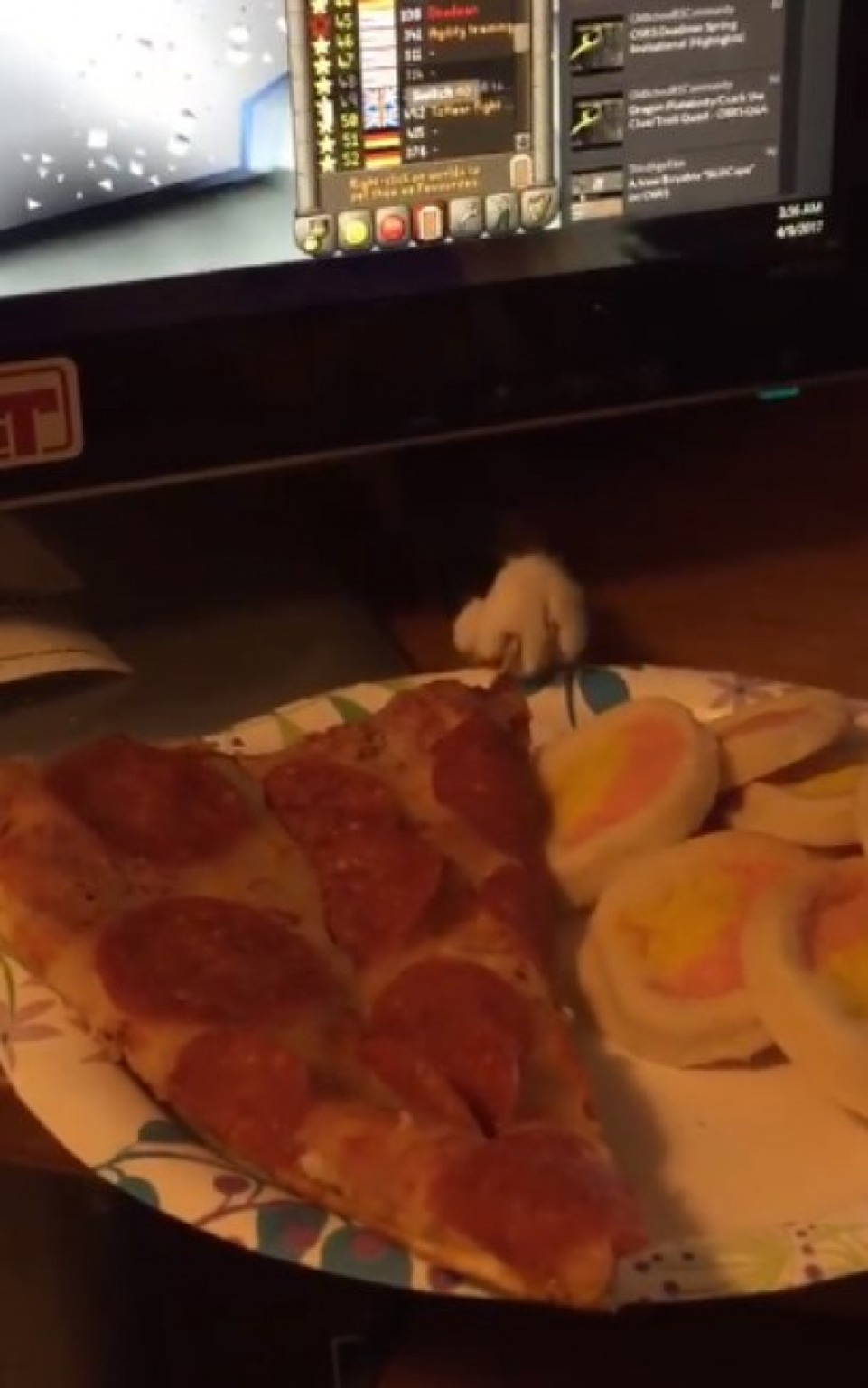 Dona filma ação de gato para roubar pizza; vídeo é hilário Dona filma ação de gato para roubar pizza; vídeo é hilário