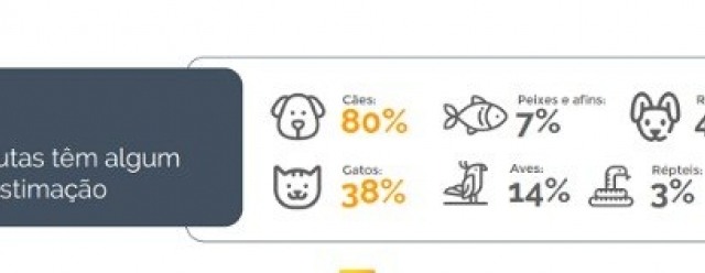 Donos de cachorro gastam mais do que os de gato, diz pesquisa