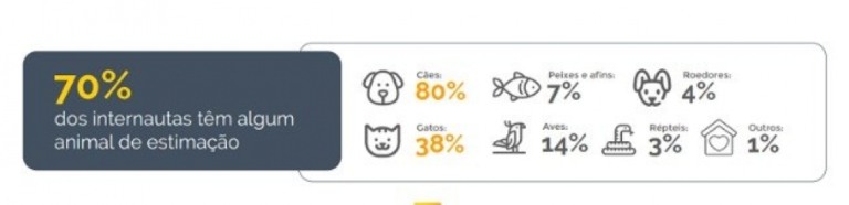 Donos de cachorro gastam mais do que os de gato, diz pesquisa