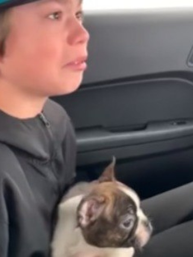 Pai morre e deixa cão de presente  para filho; vídeo é emocionante