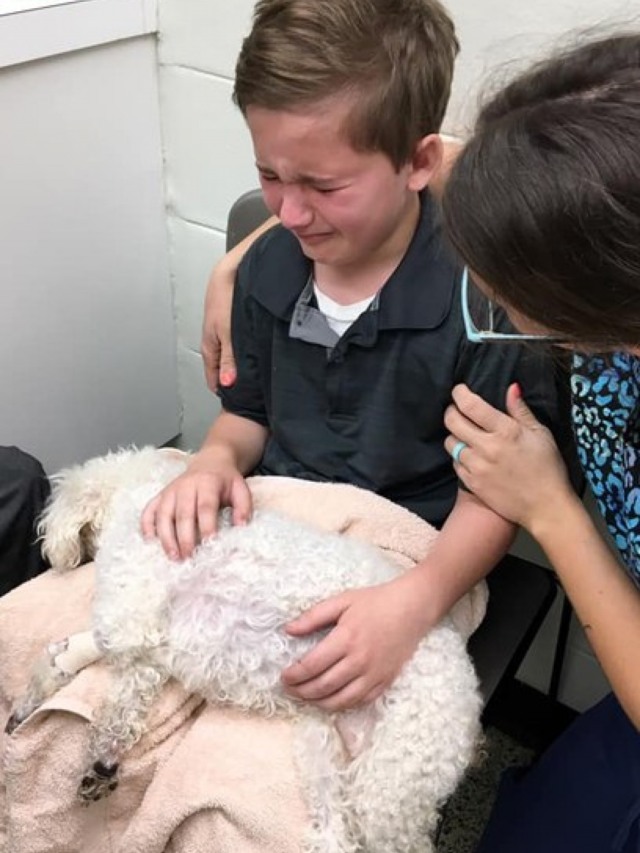 Garoto chora antes de sua cadela ser sacrificada e comove a internet