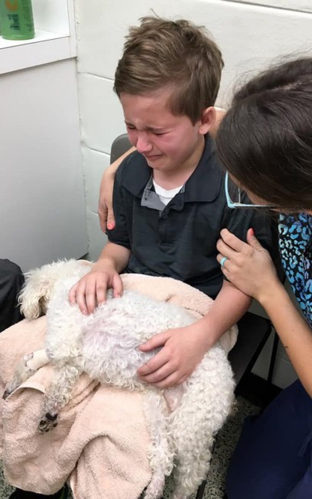 Garoto chora antes de sua cadela ser sacrificada e comove a internet