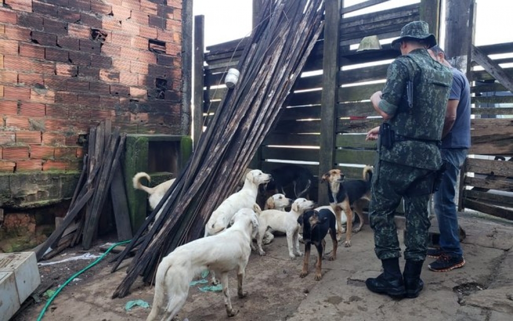 PM salva 21 cães vítimas de maus-tratos em Carapicuíba