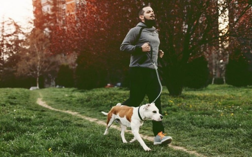 Veterinária dá 6 dicas para começar a correr com o cachorro