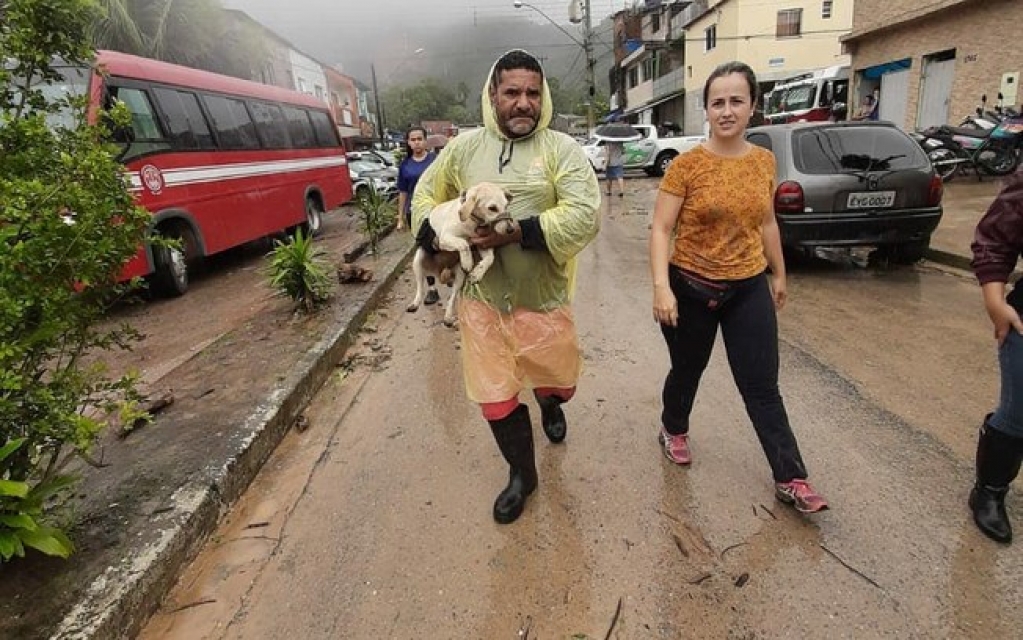 Cadela é achada cavando local onde dono foi soterrado em Guarujá