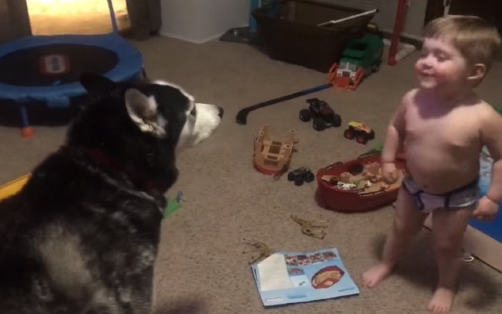 Em vídeo fofo, menino de 2 anos tenta conversar com cachorro