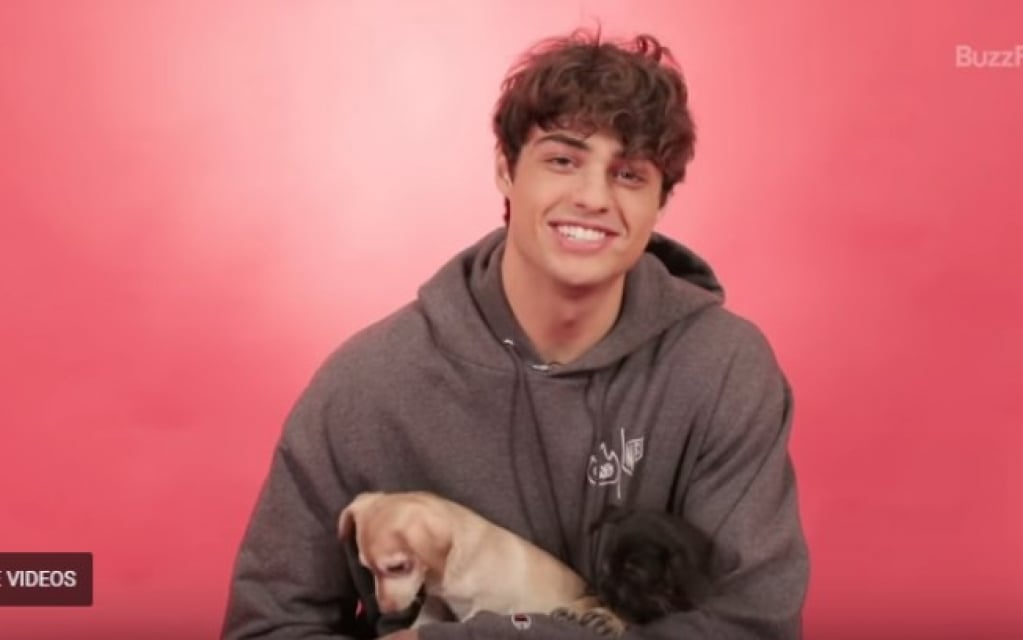 Noah Centineo divulga número para conversar durante quarentena