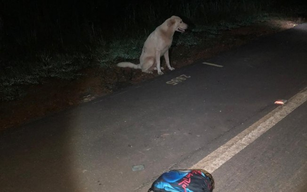 Cão permanece ao lado do corpo de jovem que morreu atropelado em Rondônia