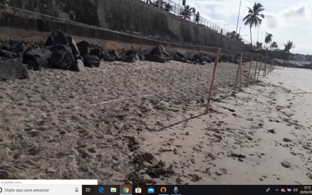 Prefeitura de Salvador isola praias com estacas de madeira e arame; veja o vídeo