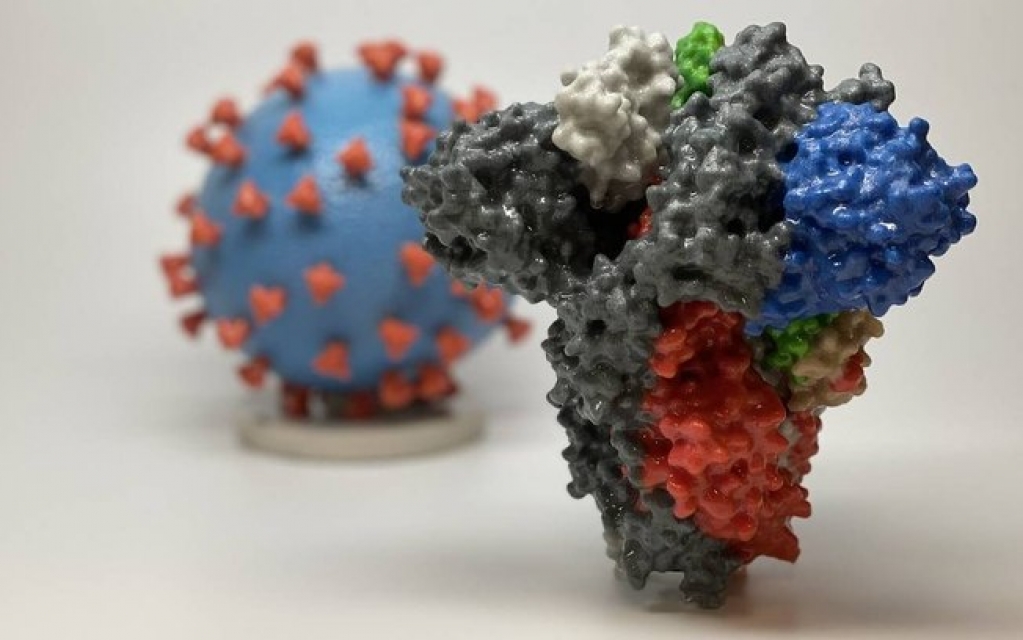 Covid-19: Cientistas brasileiros desenvolvem teste de baixo custo