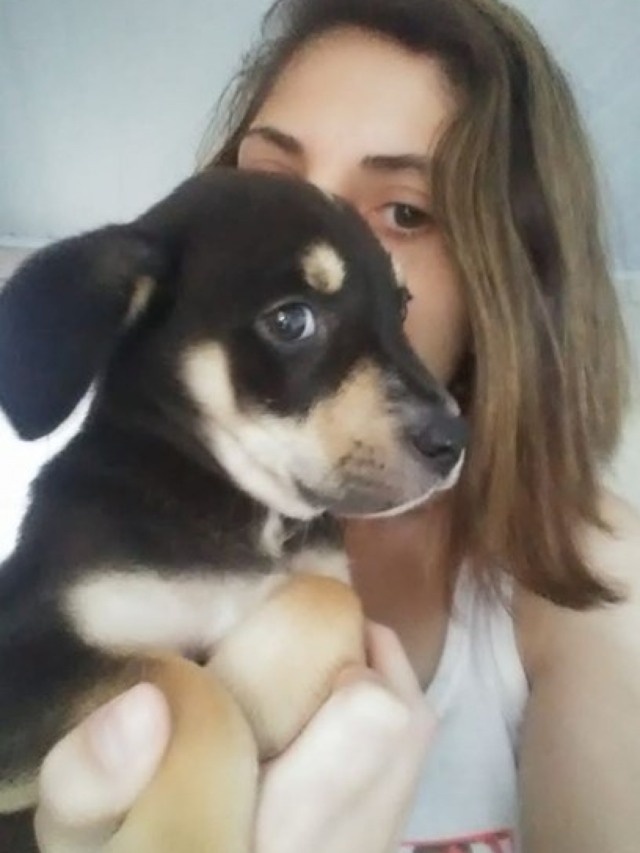 Mulher publica vídeo confessando ter matado cão: "Estava me dando prejuízo"