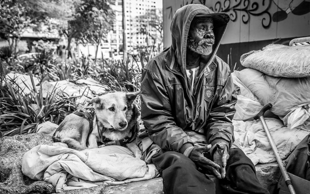 ONG leva higiene, alimentação e atenção para moradores de rua e seus cães