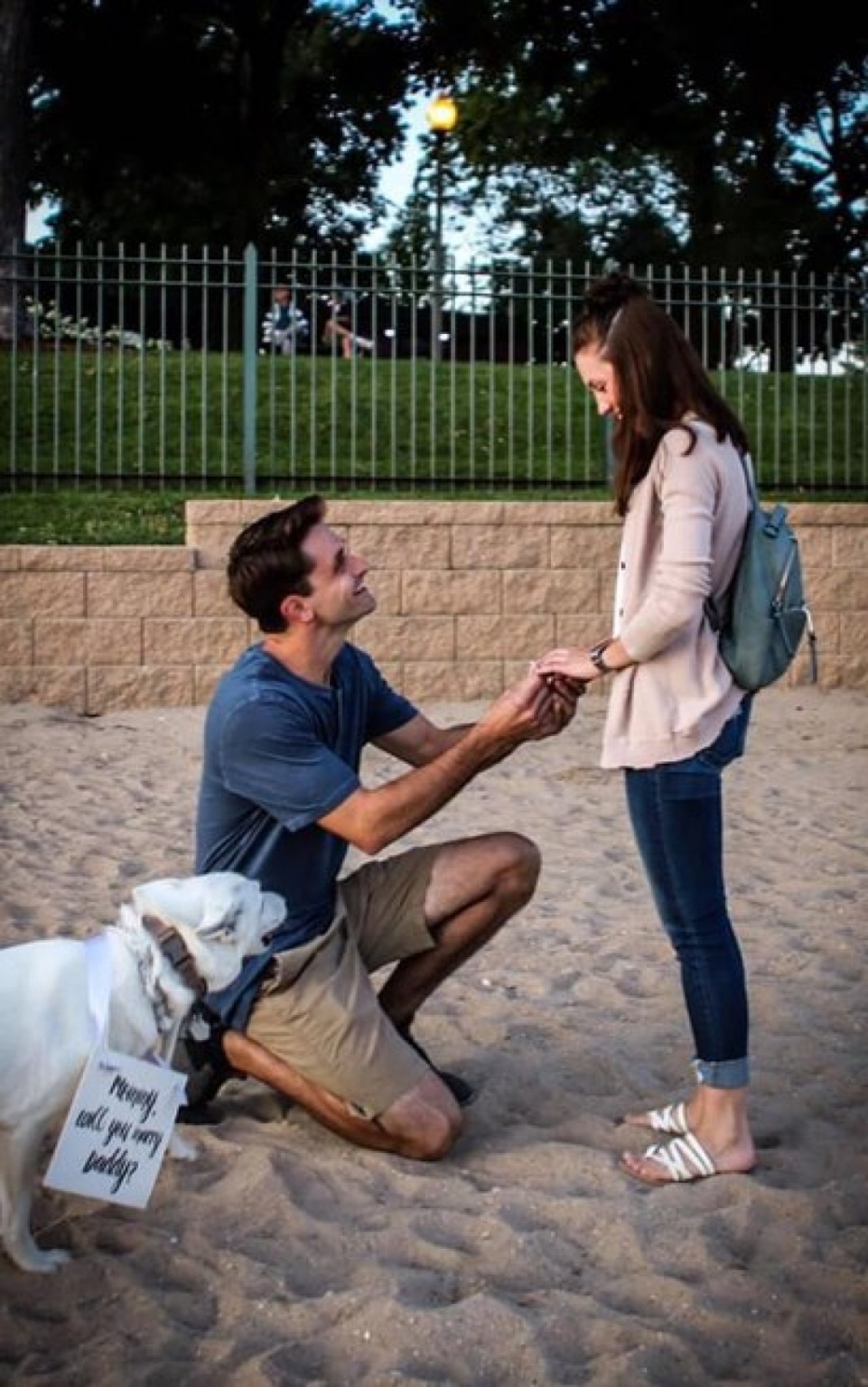 Homem tenta usar cão para fazer pedido de casamento, mas plano falha na "hora H" Homem tenta usar cão para fazer pedido de casamento, mas plano falha na "hora H"