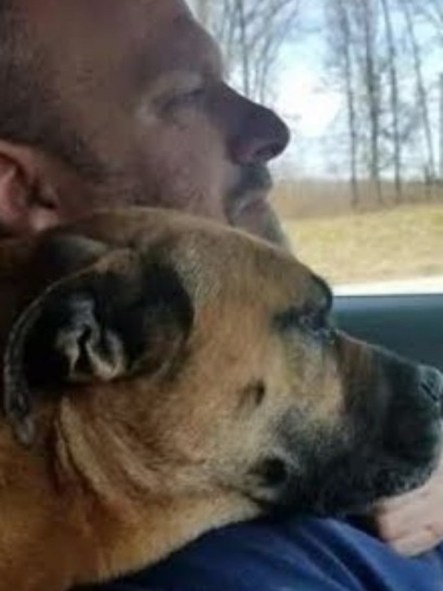 Em lindo gesto, homem adota cão de rua que invadiu seu carro