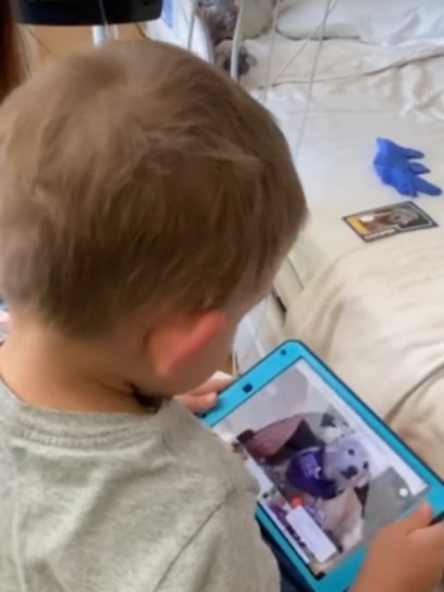Cães fazem visitas virtuais a hospital infantil de Los Angeles