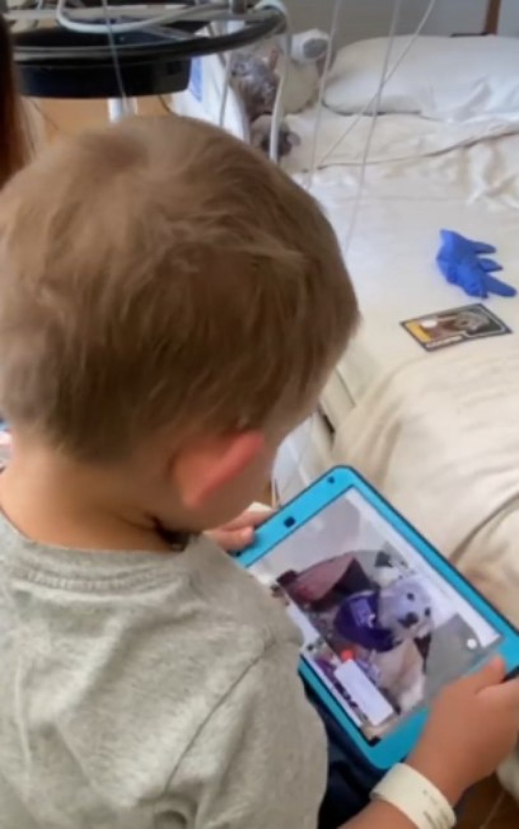 Cães fazem visitas virtuais a hospital infantil de Los Angeles