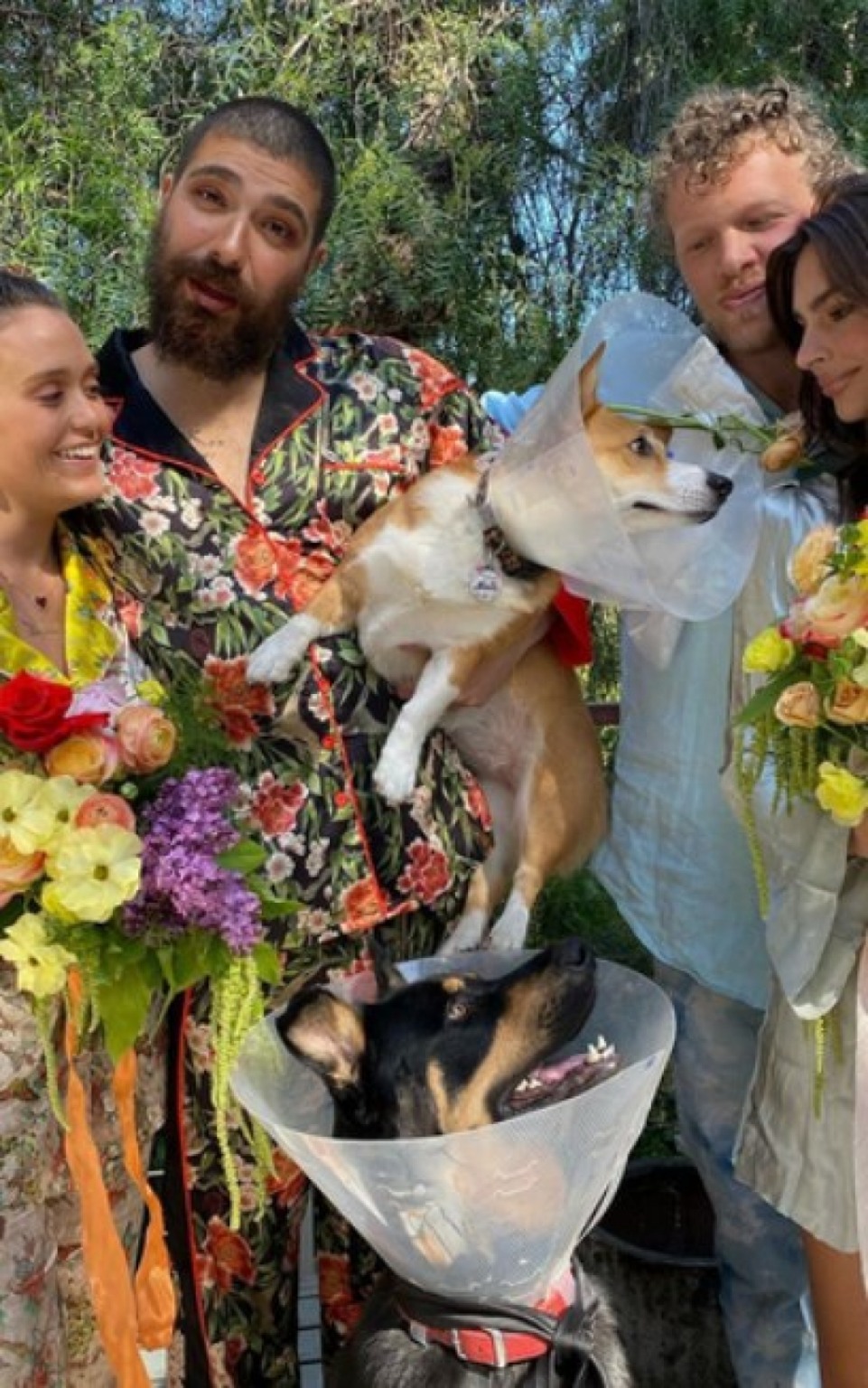 Cães ganham cerimônia de casamento durante isolamento Cães ganham cerimônia de casamento durante isolamento