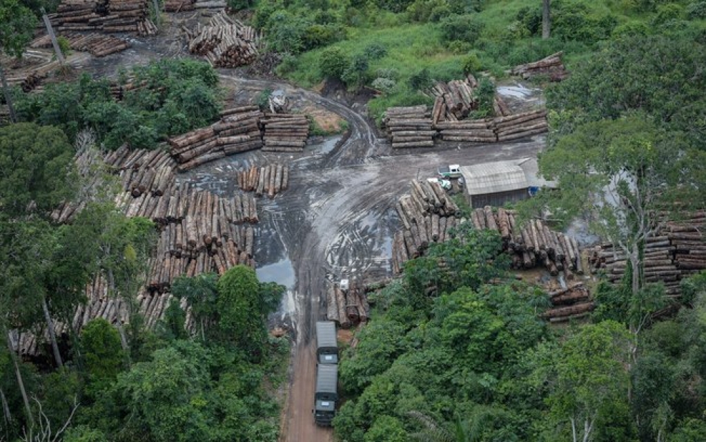 Amazônia registra o maior índice de desmatamento em 10 anos