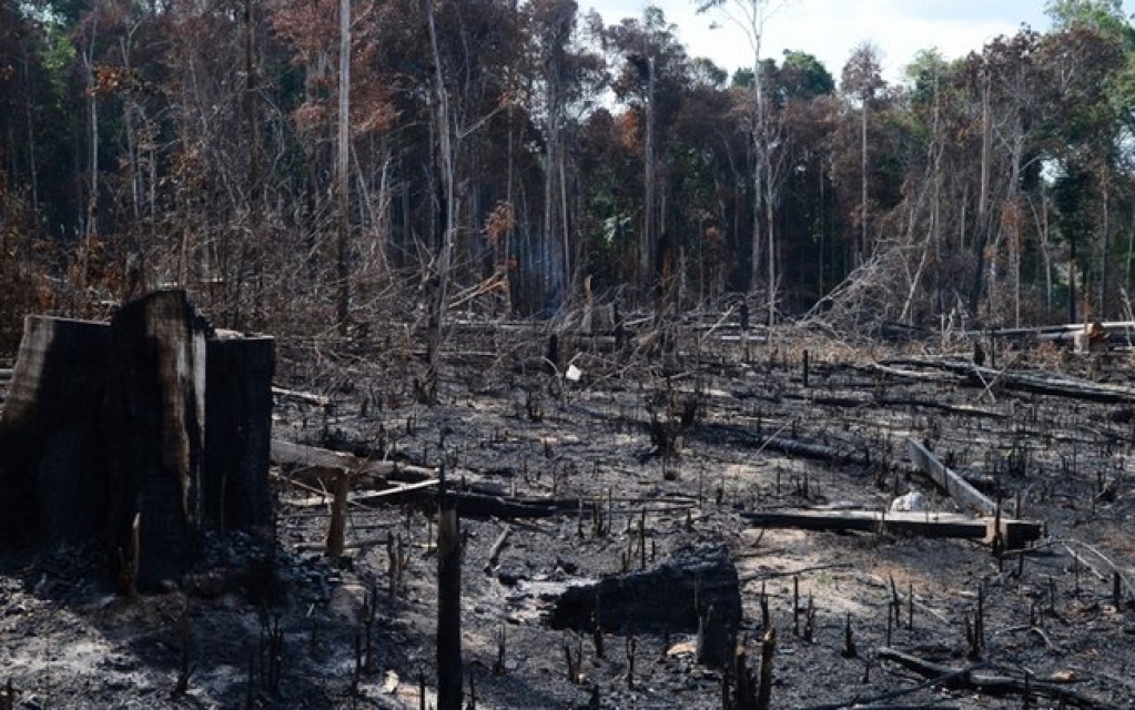 Amazônia: Desmatamento passa de 10 mil km² entre agosto de 2018 e julho de 2019