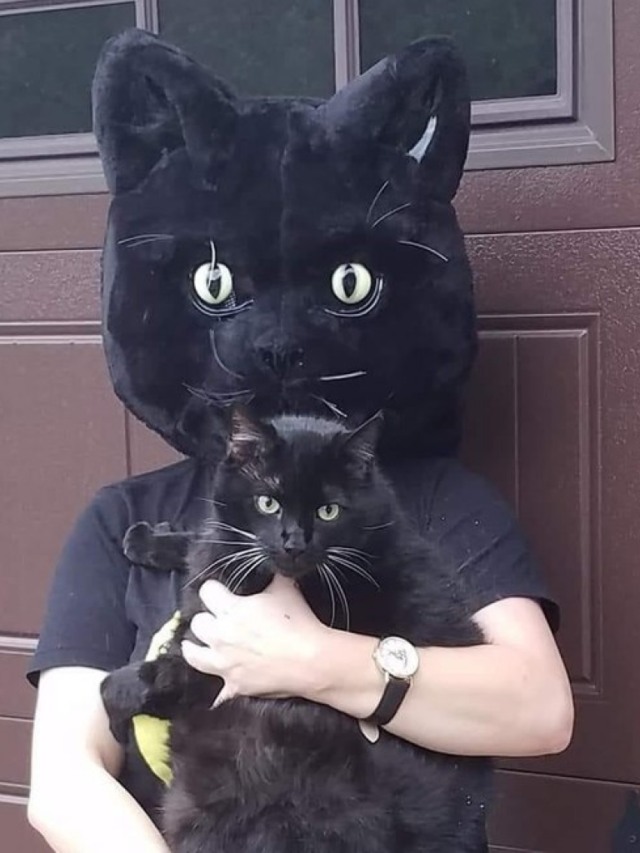 Homem com cabeça de gato viraliza em foto com seu pet