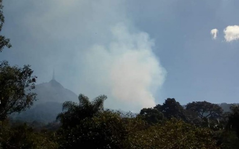Incêndio atinge reserva indígena na periferia de São Paulo