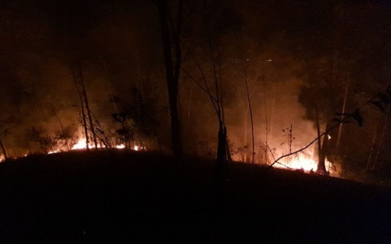 Previsão do tempo mostra chance de incêndio florestal nesta terça em São Paulo
