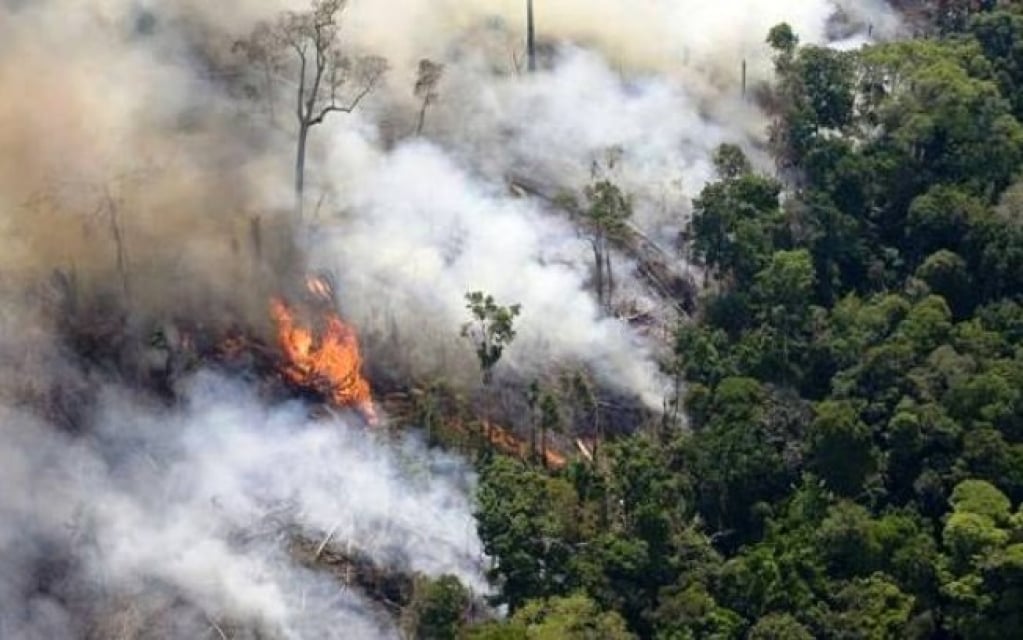 Investidores ameaçam deixar o Brasil por destruição da Amazônia, diz jornal