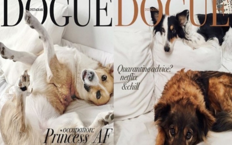 Desafio Vogue: donos compartilham montagens de cães em capas da revista
