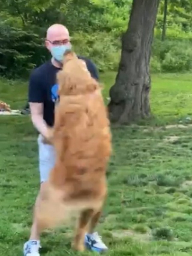 Confira o reencontro entre tutor e cão após 3 meses em isolamento