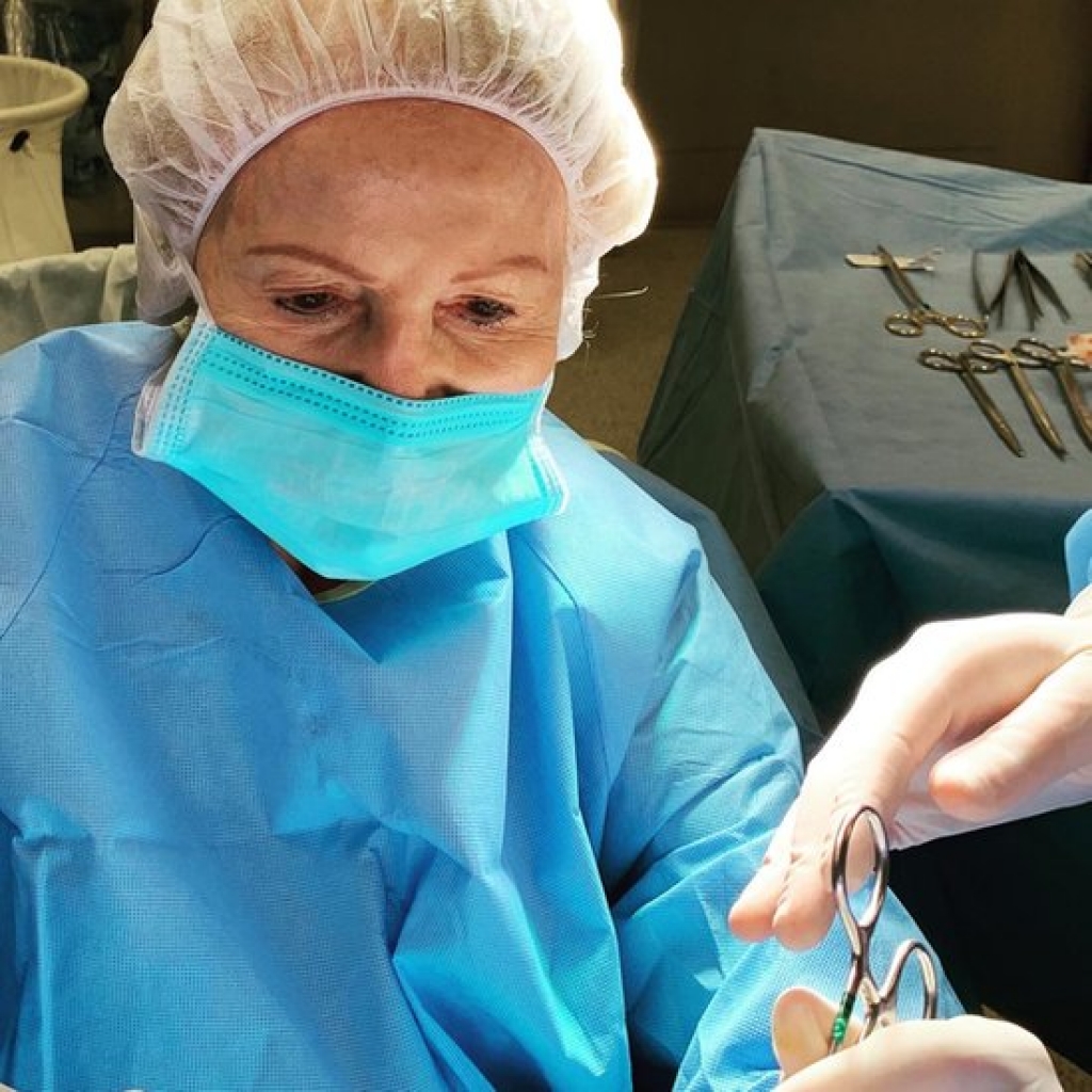 Médica de 88 anos passa 50 dias na UTI, se cura da Covid-19 e volta a trabalhar
