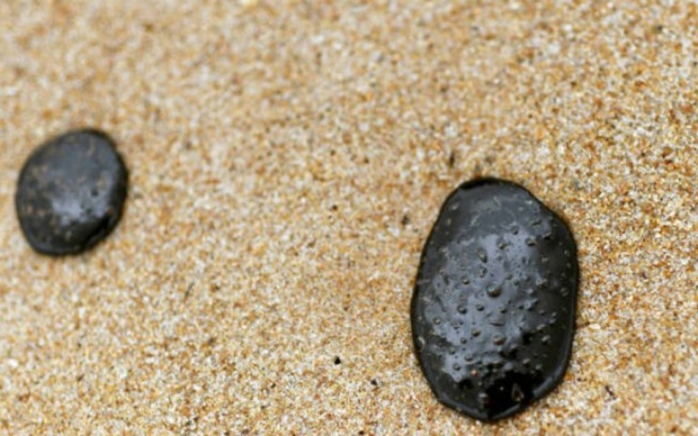 Manchas de óleo voltam a ser encontradas em praias do nordeste