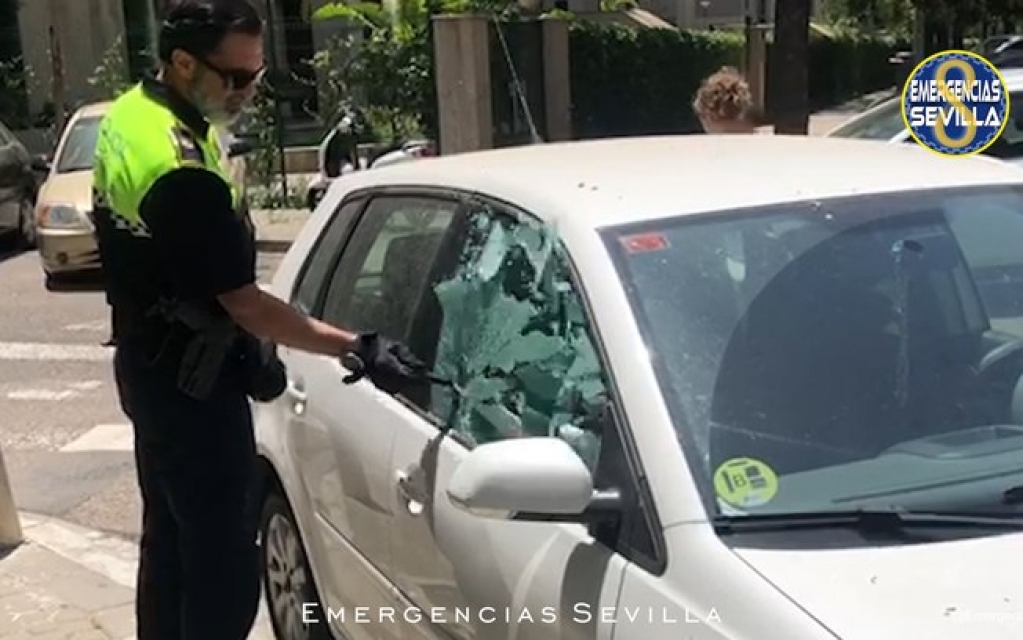 Yorkshire fica preso em carro com temperatura de 50ºC é resgatado pela polícia