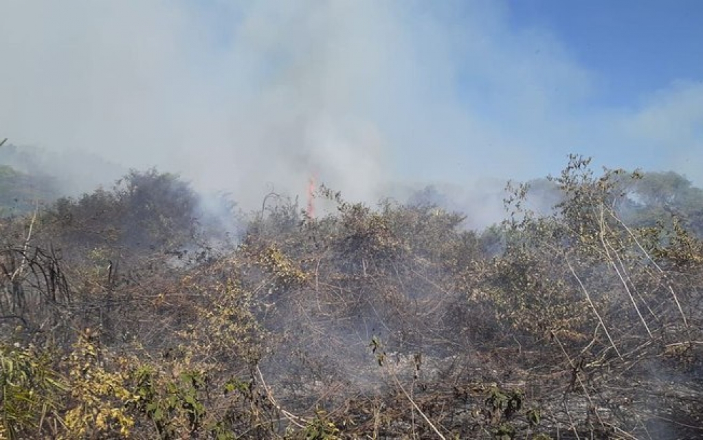 Incêndio no Pantanal já dura seis dias e destrói região no Mato Grosso do Sul Incêndio no Pantanal já dura seis dias e destrói região no Mato Grosso do Sul