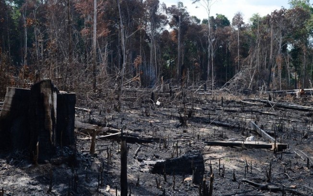 Governo exonera responsável do Inpe por monitorar desmatamento na Amazônia Governo exonera responsável do Inpe por monitorar desmatamento na Amazônia