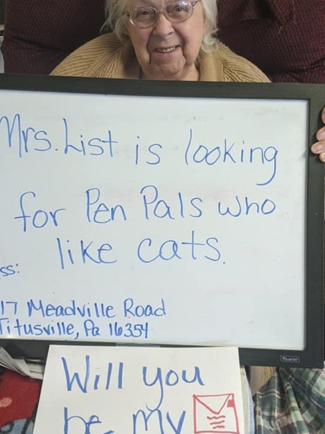 Idosa em casa de repouso quer correspondente que ame gatos