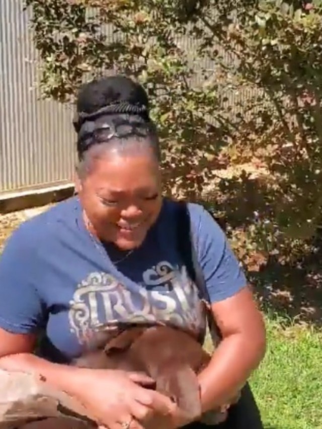 Cão tem reencontro emocionante com dona após 2 anos desaparecido