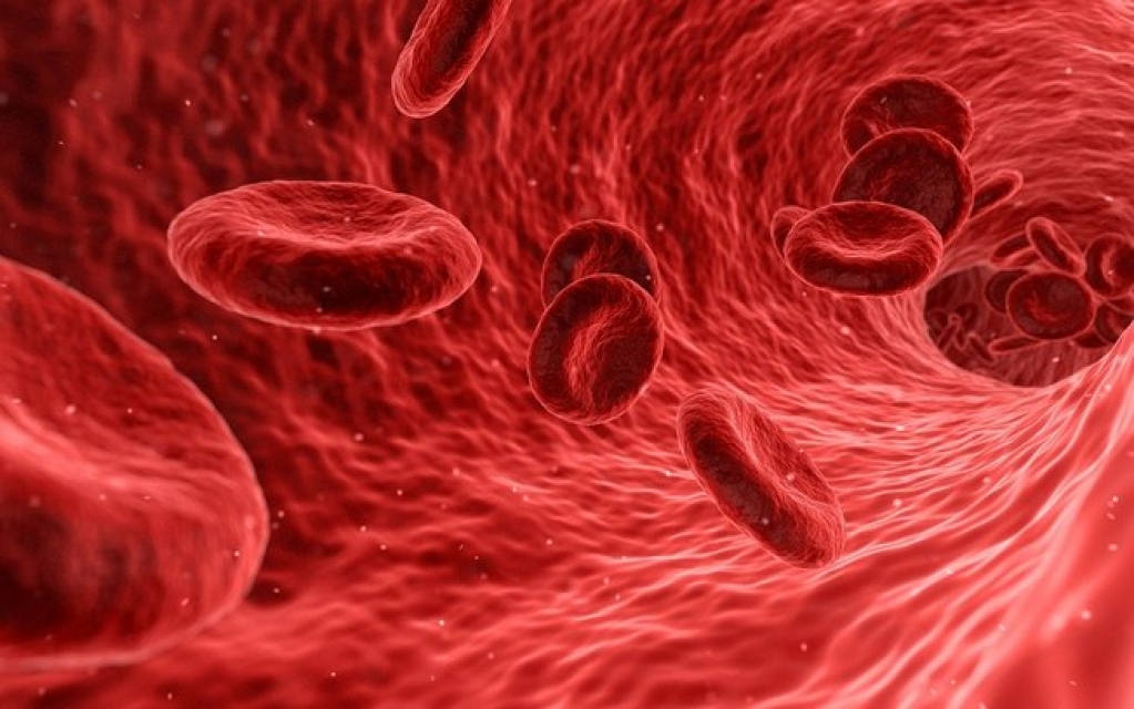 Por que pacientes com sangue tipo A têm mais riscos com a Covid-19?