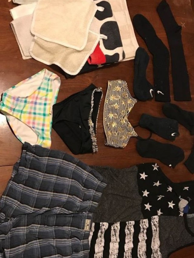Gato rouba peças de roupa de vizinhos e é descoberto