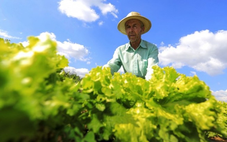 Auxílio emergencial: agricultor familiar passa a ter direito aos R$ 600