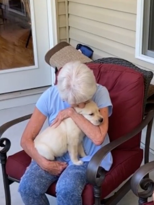 Idosa tem reação emocionante ao ganhar filhote de cachorro; veja