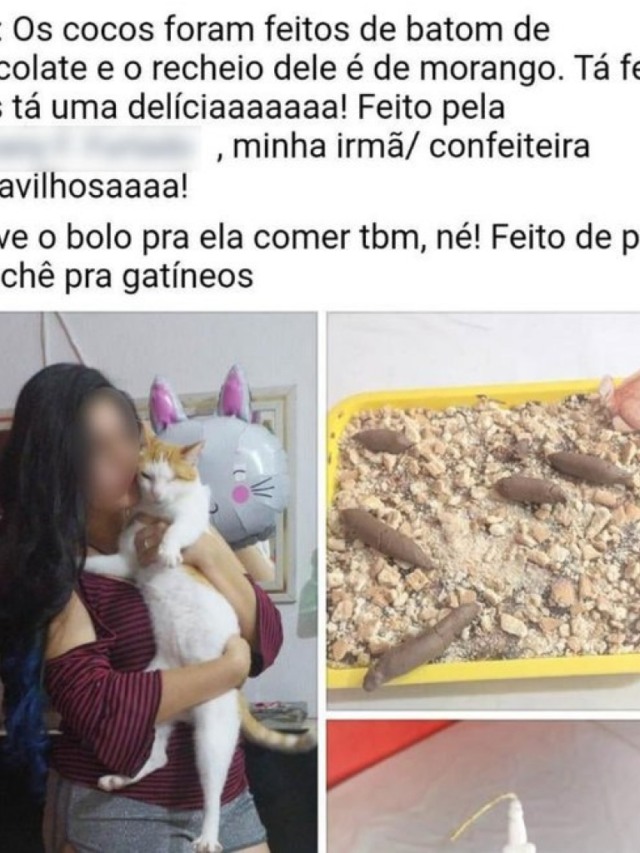Bolo de aniversário de gata em formato de caixa de areia viraliza